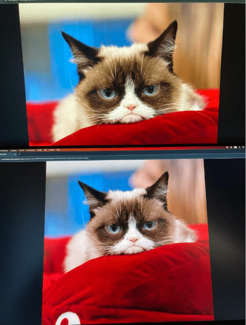 24 zoll full-hd vs. QHD
